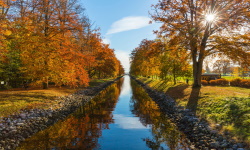 Quelle: https://www.pexels.com/photo/river-between-brown-leafed-trees-during-daytime-219025/